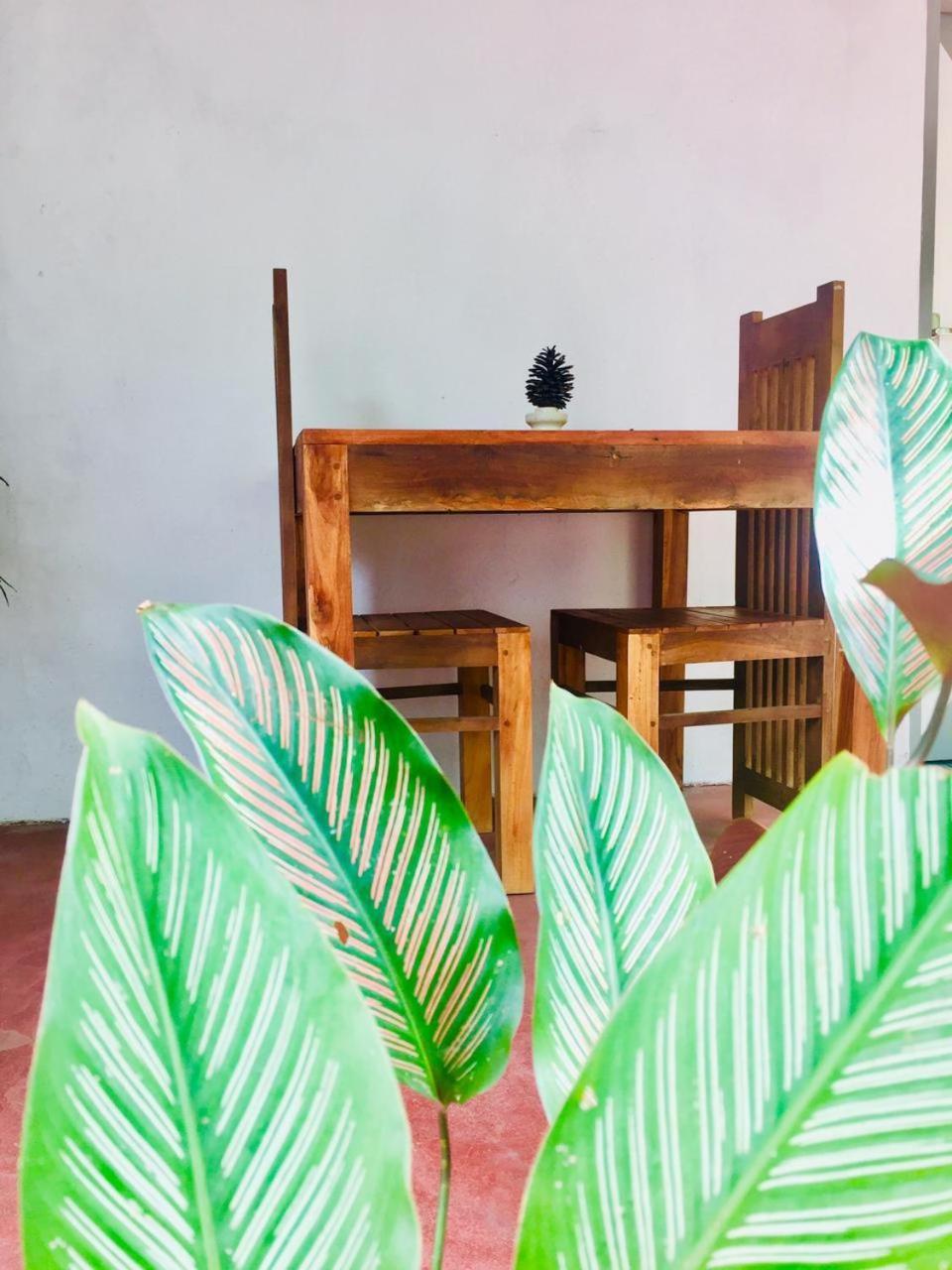 Ostello Surf Resort อาฮานกามา ภายนอก รูปภาพ